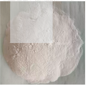 Spray Dried Tender Coconut Water Powder