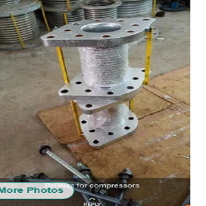 Ss Expansion Bellows