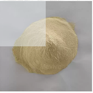 Spray Dried Ginger Powder