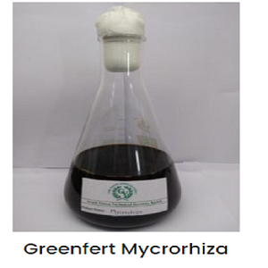 Greenfert Mycrorhiza