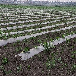 Bio Degradable Mulch Film
