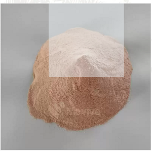 Spray Dried Watermelon Powder