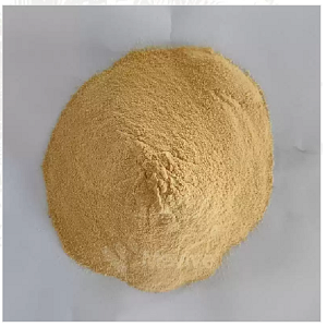 Spray Dried Papaya Fruit Powder