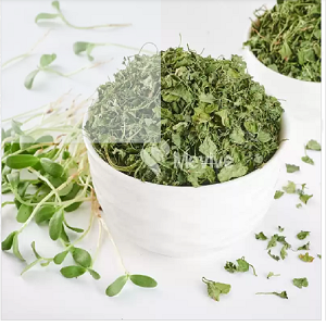 Dried Kasuri Methi Leaves