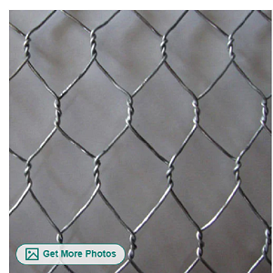 Hexagonal Wire Mesh