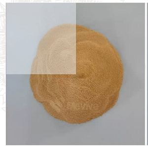 Spray Dried Carrot Powder