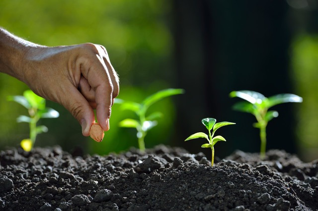 Cultivating Success: Navigating Challenges in Agriculture